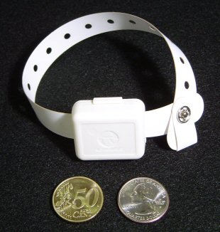 The wristbandTag: a small white tag on a white wristband with a row of holes and a snap fastener, above a 50 euro cent coin and a US quarter.